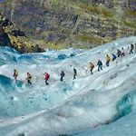 Fjellheim