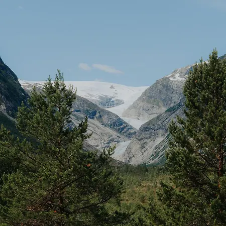 Fjellheim