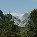 Fjellheim