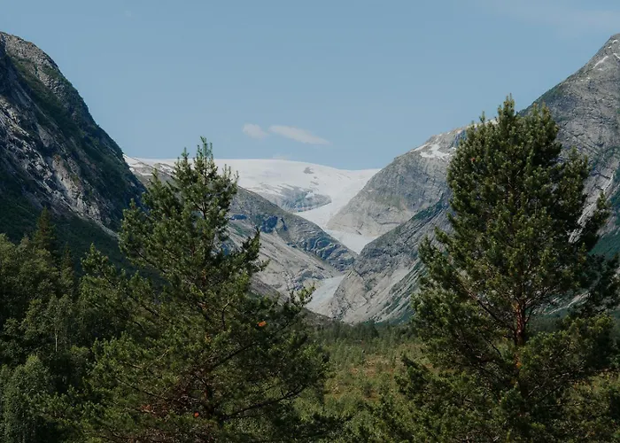 Fjellheim